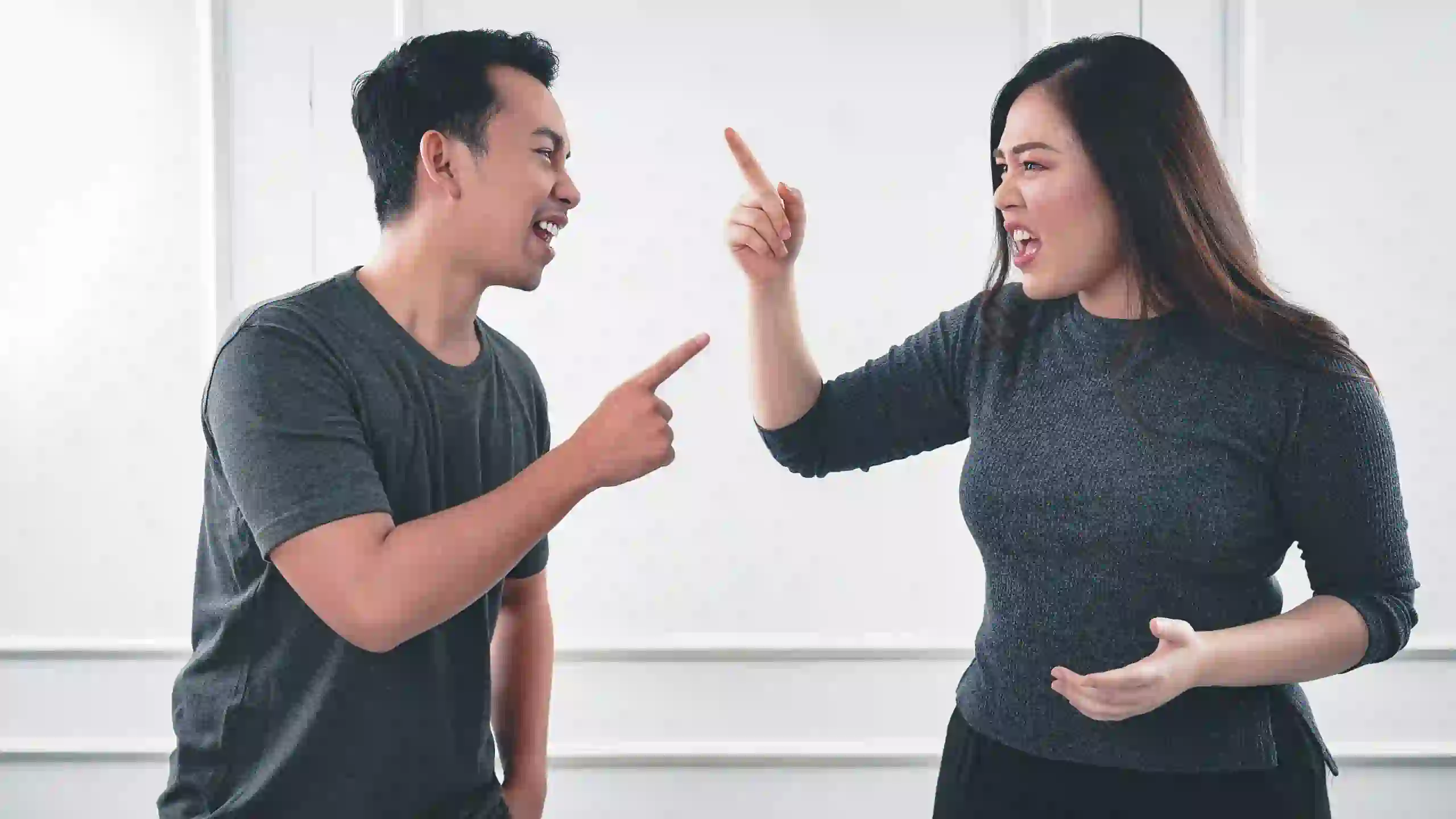 How Do We Decide When the Right Time Is to Introduce a New Partner Corby?